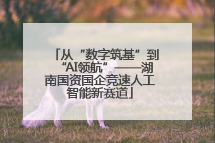 从“数字筑基”到“AI领航”——湖南国资国企竞速人工智能新赛道