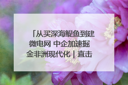 从买深海鳀鱼到建微电网 中企加速掘金非洲现代化｜直击中非经贸博览会