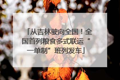 从吉林驶向全国！全国首列粮食多式联运“一单制”班列发车
