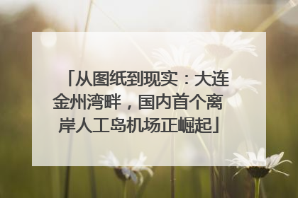 从图纸到现实：大连金州湾畔，国内首个离岸人工岛机场正崛起