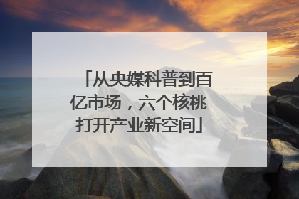从央媒科普到百亿市场，六个核桃打开产业新空间