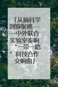 从脑科学到猕猴桃——中外联合实验室奏响“一带一路”科技合作交响曲