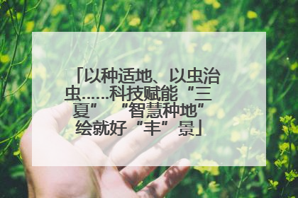 以种适地、以虫治虫……科技赋能“三夏” “智慧种地”绘就好“丰”景