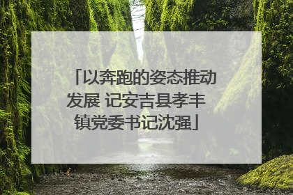 以奔跑的姿态推动发展 记安吉县孝丰镇党委书记沈强