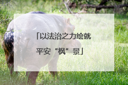 以法治之力绘就平安“枫”景