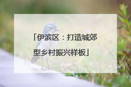 伊滨区：打造城郊型乡村振兴样板