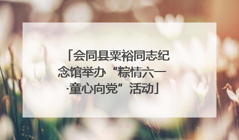 会同县粟裕同志纪念馆举办“粽情六一·童心向党”活动