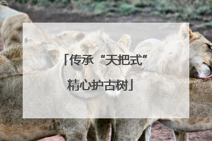 传承“天把式” 精心护古树