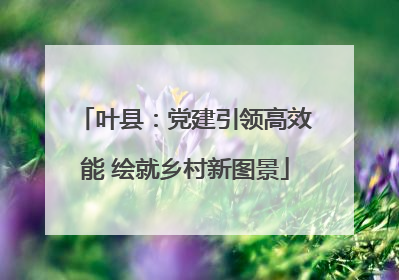 叶县：党建引领高效能 绘就乡村新图景