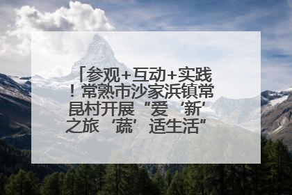 参观+互动+实践！常熟市沙家浜镇常昆村开展“爱‘新’之旅‘蔬’适生活”参观学习活动