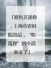 双色又迷你，上海市农科院出品，“吃瓜界”的小清新来了
