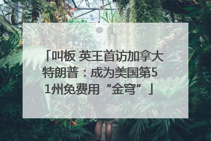 叫板 英王首访加拿大 特朗普：成为美国第51州免费用“金穹”