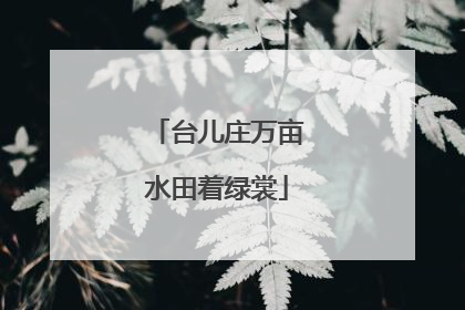 台儿庄万亩水田着绿裳