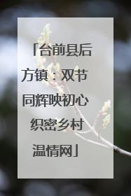 台前县后方镇：双节同辉映初心 织密乡村温情网