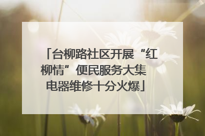 台柳路社区开展“红柳情”便民服务大集 电器维修十分火爆