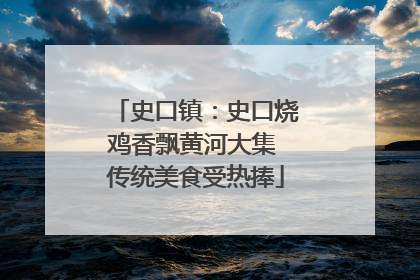 史口镇：史口烧鸡香飘黄河大集 传统美食受热捧