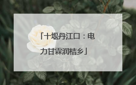 十堰丹江口：电力甘霖润桔乡