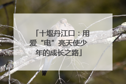 十堰丹江口：用爱“电”亮天使少年的成长之路