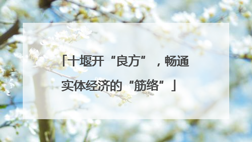 十堰开“良方”，畅通实体经济的“筋络”