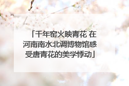 千年窑火映青花 在河南南水北调博物馆感受唐青花的美学悸动