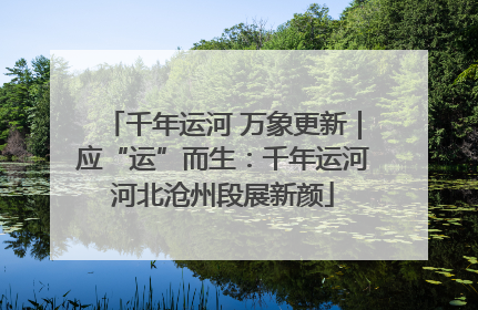 千年运河 万象更新｜应“运”而生：千年运河河北沧州段展新颜