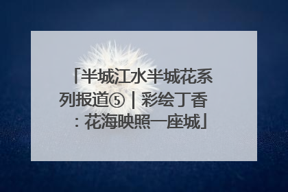 半城江水半城花系列报道⑤｜彩绘丁香：花海映照一座城
