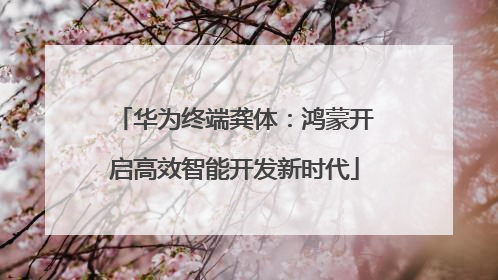 华为终端龚体：鸿蒙开启高效智能开发新时代