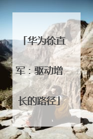 华为徐直军：驱动增长的路径