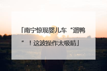 南宁惊现婴儿车“遛鸭”！这波操作太吸睛