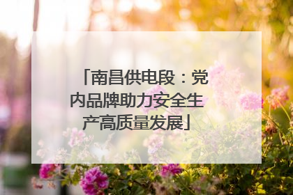 南昌供电段：党内品牌助力安全生产高质量发展