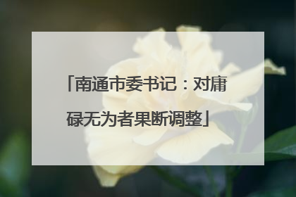 南通市委书记：对庸碌无为者果断调整