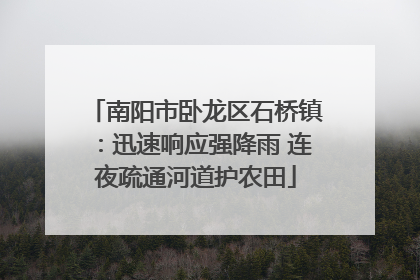 南阳市卧龙区石桥镇：迅速响应强降雨 连夜疏通河道护农田