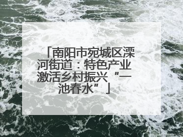南阳市宛城区溧河街道：特色产业激活乡村振兴“一池春水”
