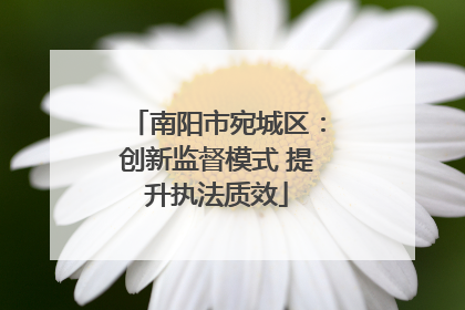 南阳市宛城区：创新监督模式 提升执法质效