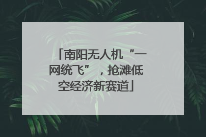 南阳无人机“一网统飞”，抢滩低空经济新赛道