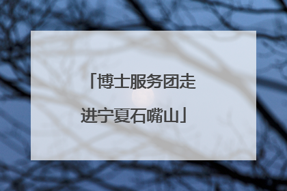 博士服务团走进宁夏石嘴山