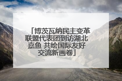 博茨瓦纳民主变革联盟代表团到访湖北嘉鱼 共绘国际友好交流新画卷