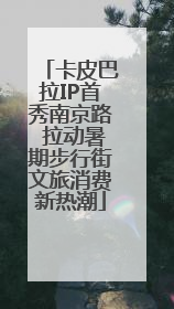 卡皮巴拉IP首秀南京路 拉动暑期步行街文旅消费新热潮