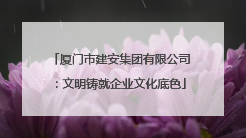 厦门市建安集团有限公司：文明铸就企业文化底色