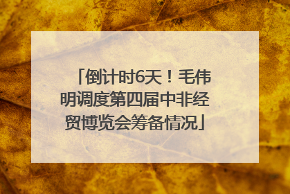 倒计时6天！毛伟明调度第四届中非经贸博览会筹备情况