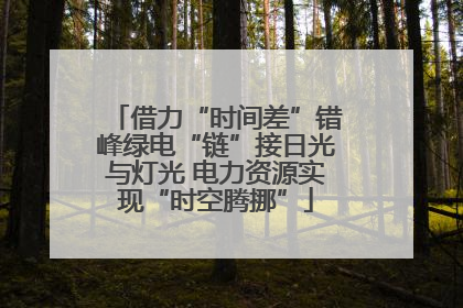 借力“时间差”错峰绿电“链”接日光与灯光 电力资源实现“时空腾挪”