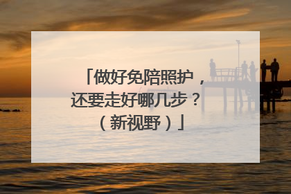 做好免陪照护，还要走好哪几步？（新视野）