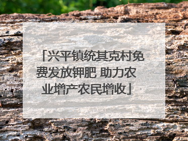 兴平镇统其克村免费发放钾肥 助力农业增产农民增收