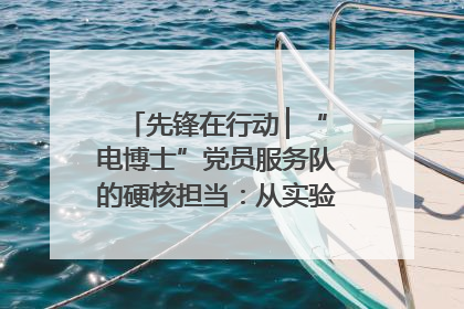 先锋在行动 ▏“电博士”党员服务队的硬核担当：从实验室到抗洪一线