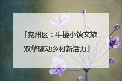兖州区：牛楼小镇文旅双擎驱动乡村新活力