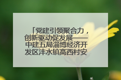 党建引领聚合力，创新驱动促发展——中建五局淄博经济开发区沣水镇高西村安置项目建设纪实