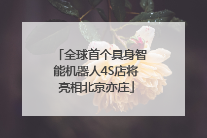 全球首个具身智能机器人4S店将亮相北京亦庄