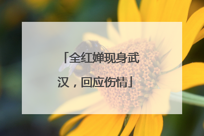 全红婵现身武汉，回应伤情