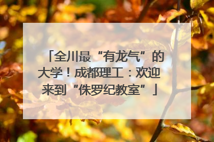 全川最“有龙气”的大学！成都理工：欢迎来到“侏罗纪教室”