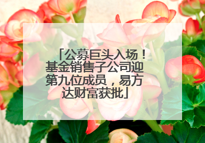 公募巨头入场！基金销售子公司迎第九位成员，易方达财富获批